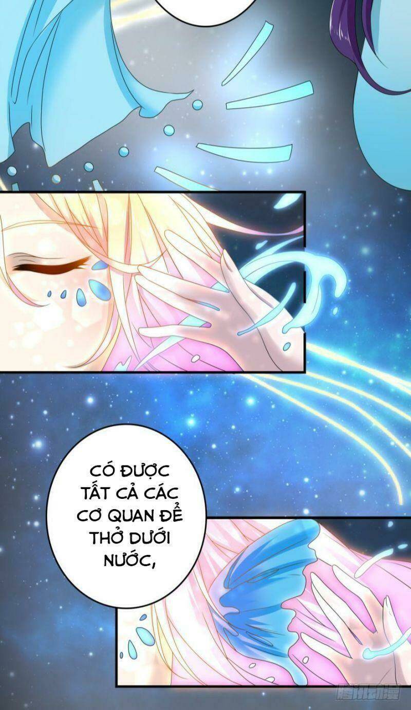 Nhân Ngư Học Trưởng, Đừng Ôm Ta!: Chapter 51