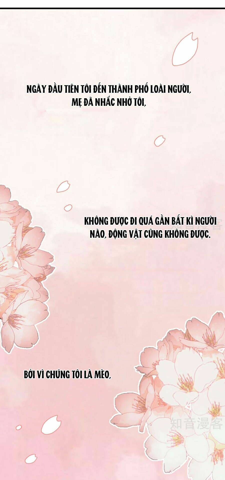 Hẹn Hò Siêu Tốc: Chapter 20