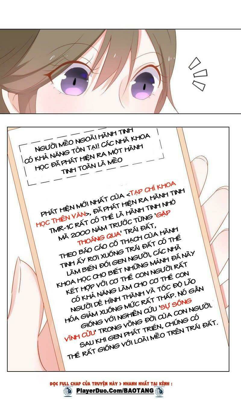 Thập Nhị Hắc Miêu: Chapter 2