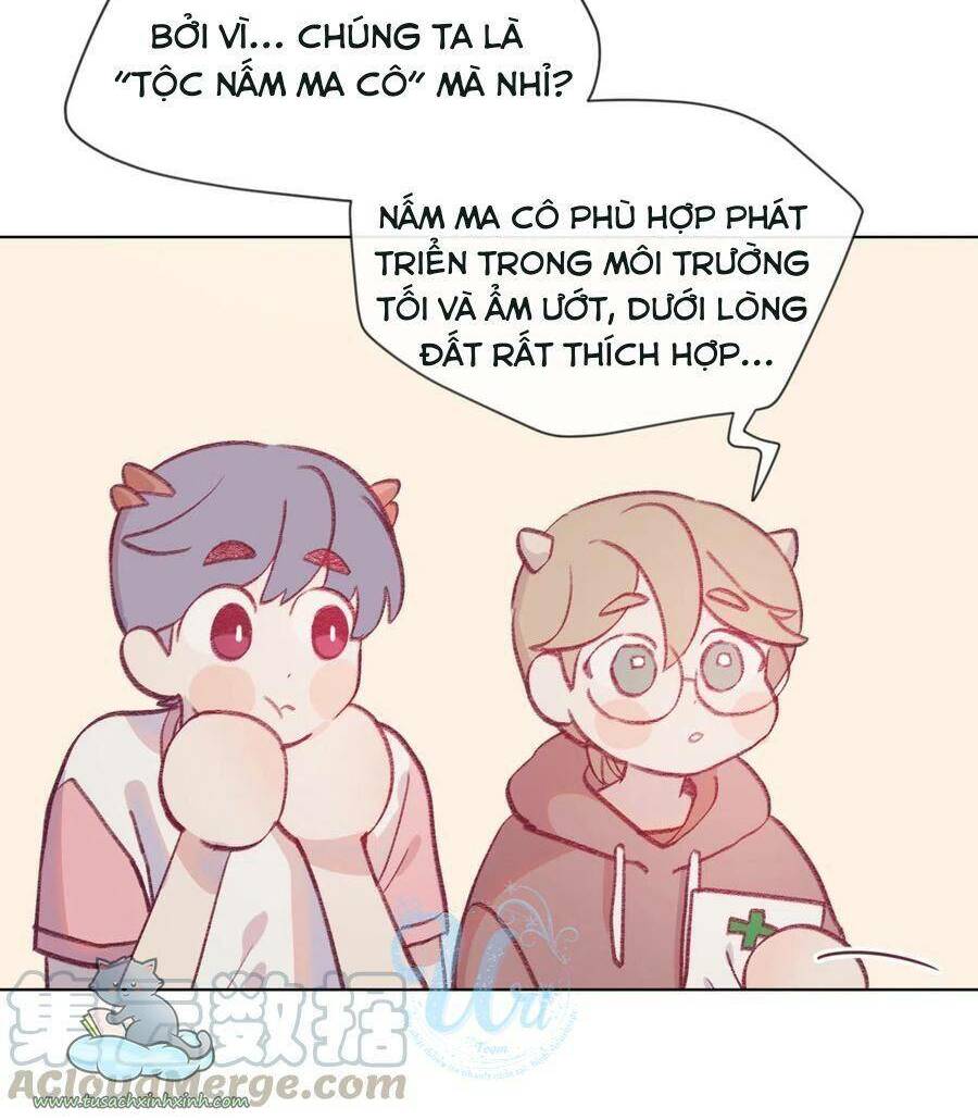 Nhật Ký Nấm Ma Cô: Chapter 13