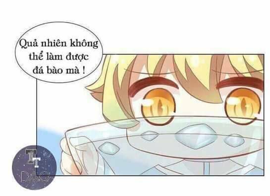 Dưới Móng Vuốt Mèo: Chapter 3