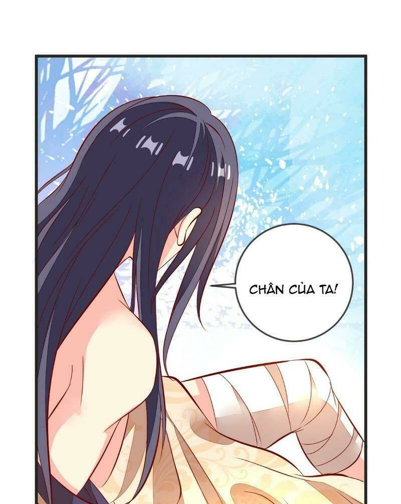Đế Hoàng Chi Thần Y Khí Phi: Chapter 42