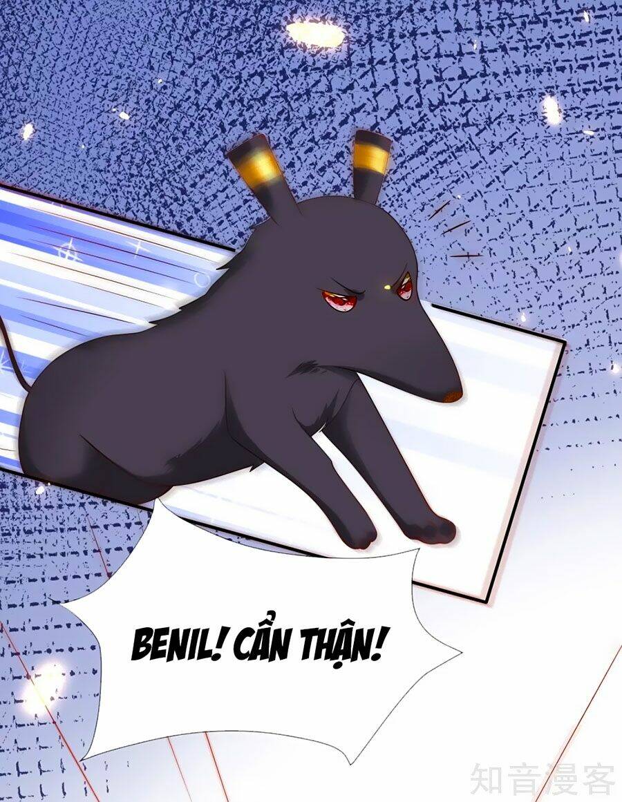 Sủng Hậu Của Vương: Chapter 43
