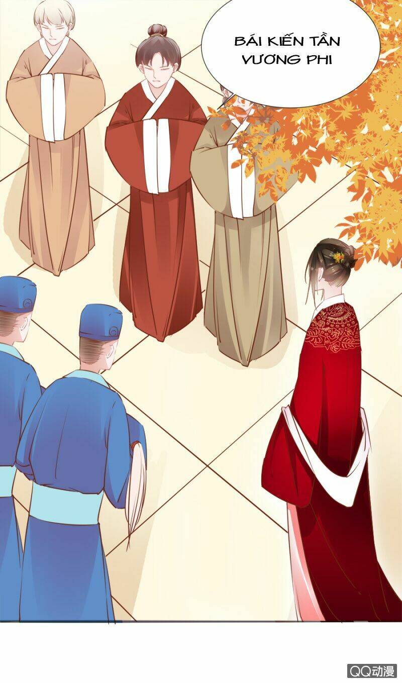 Solo Đi Vương Gia: Chapter 81