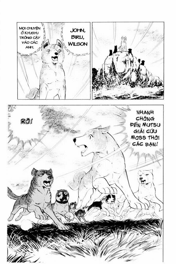 Chú Chó Có Nghĩa - Ginga Nagareboshi Gin: Chapter 30.2