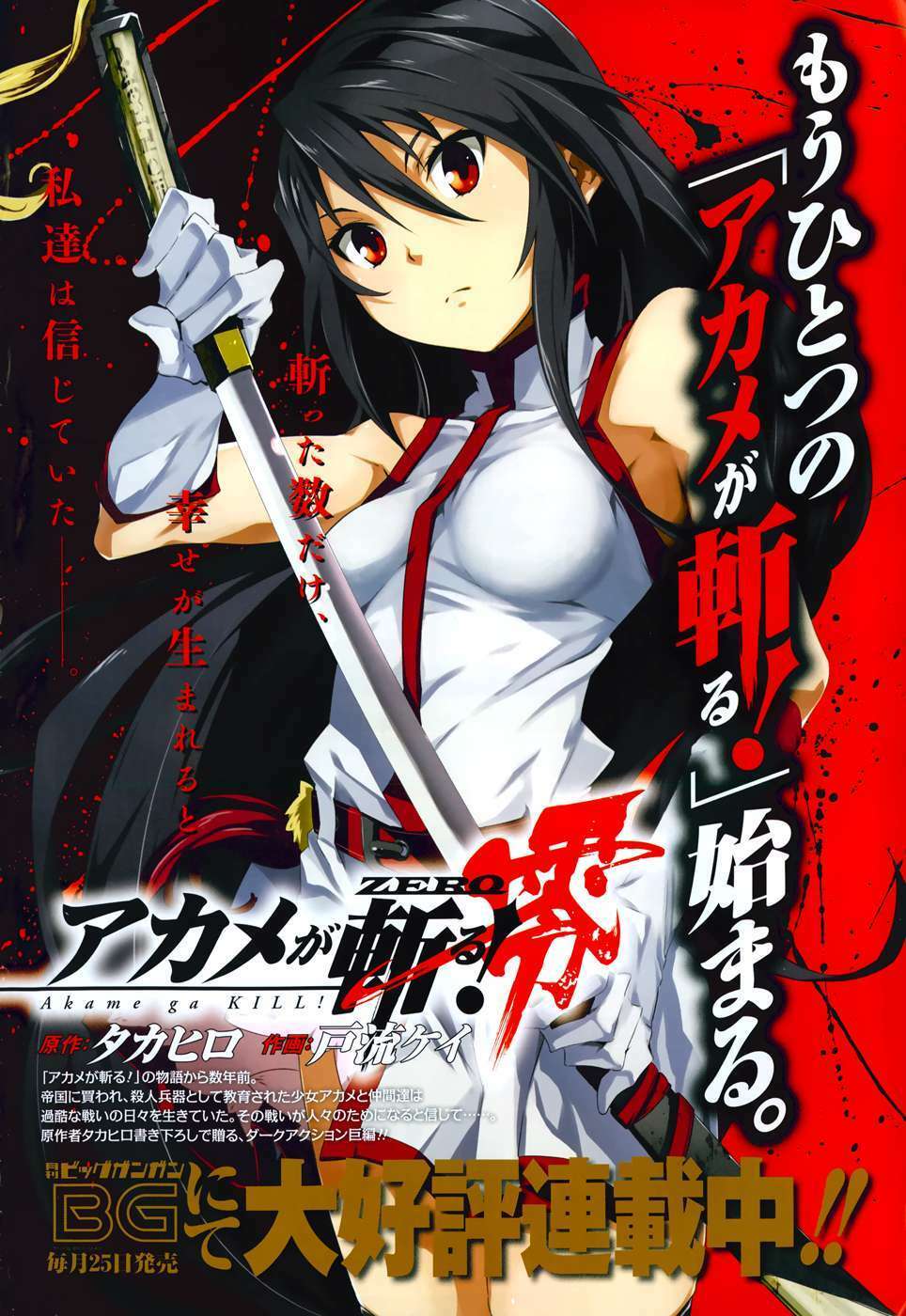 Akame Ga Kiru: Chapter 45