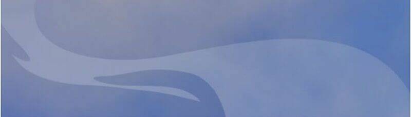 Yêu Nhan Lệnh: Chapter 19