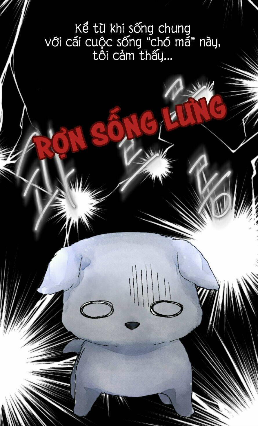 Cún Con Đáng Yêu Của Vị Hoàng Đế!: Chapter 0