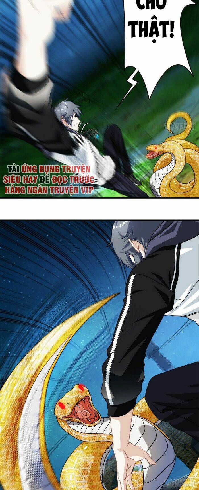 Ta Tu Linh Mạch Ở Hoa Hạ: Chapter 8