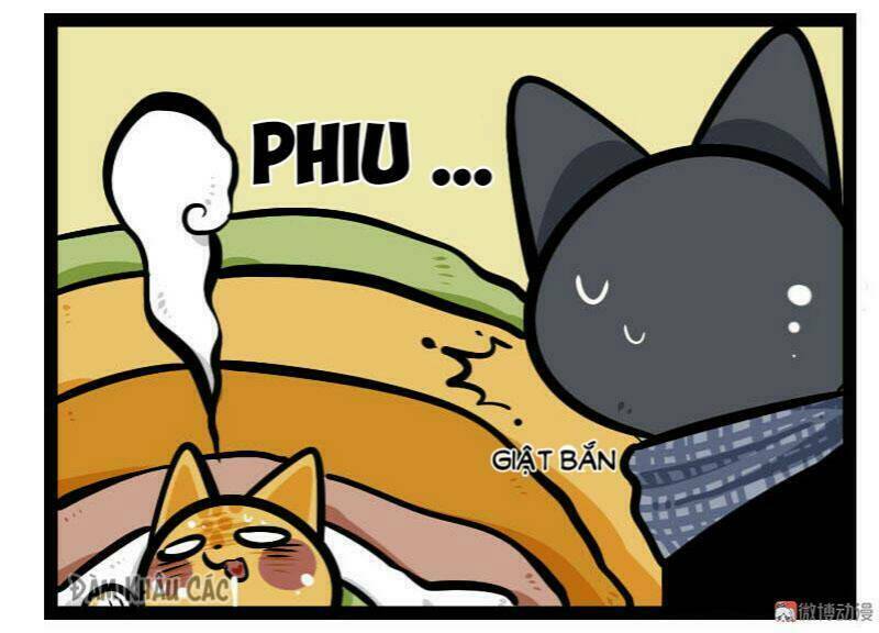 Đời Không Như Mình Tưởng: Chapter 57