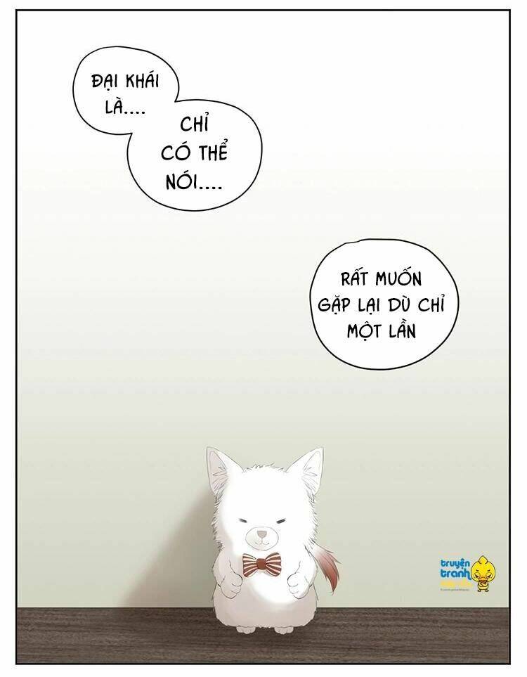 Cứu Mạng! Loài Mèo Thống Trị Thế Giới Rồi!: Chapter 27