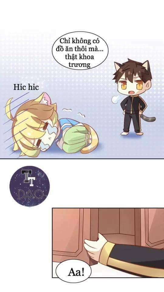 Dưới Móng Vuốt Mèo: Chapter 6
