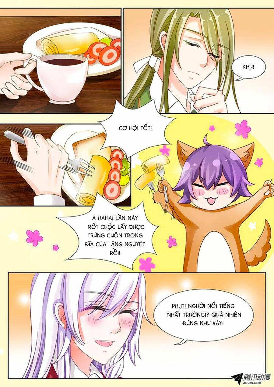 Chước Chước Lưu Ly Hạ: Chapter 14