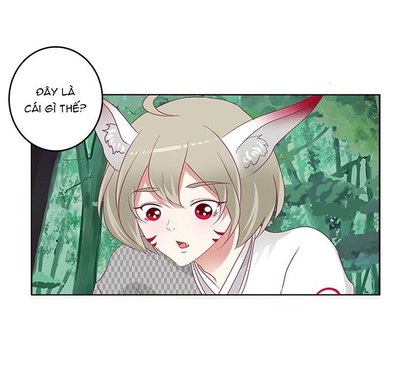 Thông Linh Phi: Chapter 315