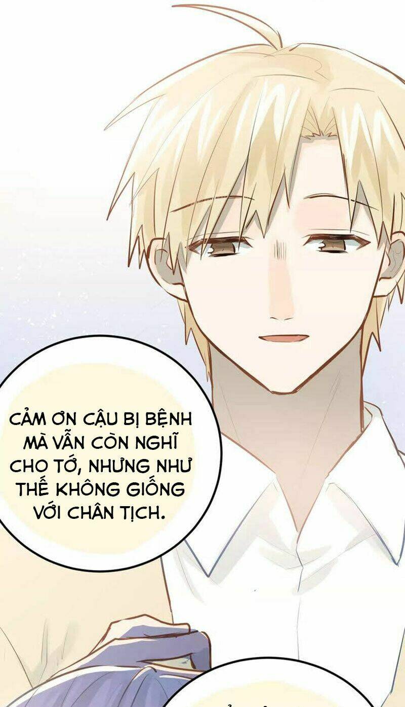 Đầu Gấu Biết Yêu: Chapter 71