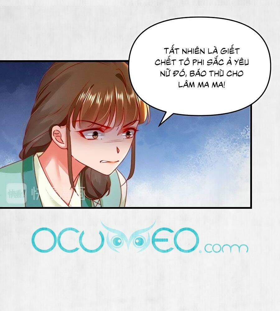 Hoạn Phi Hoàn Triều: Chapter 95