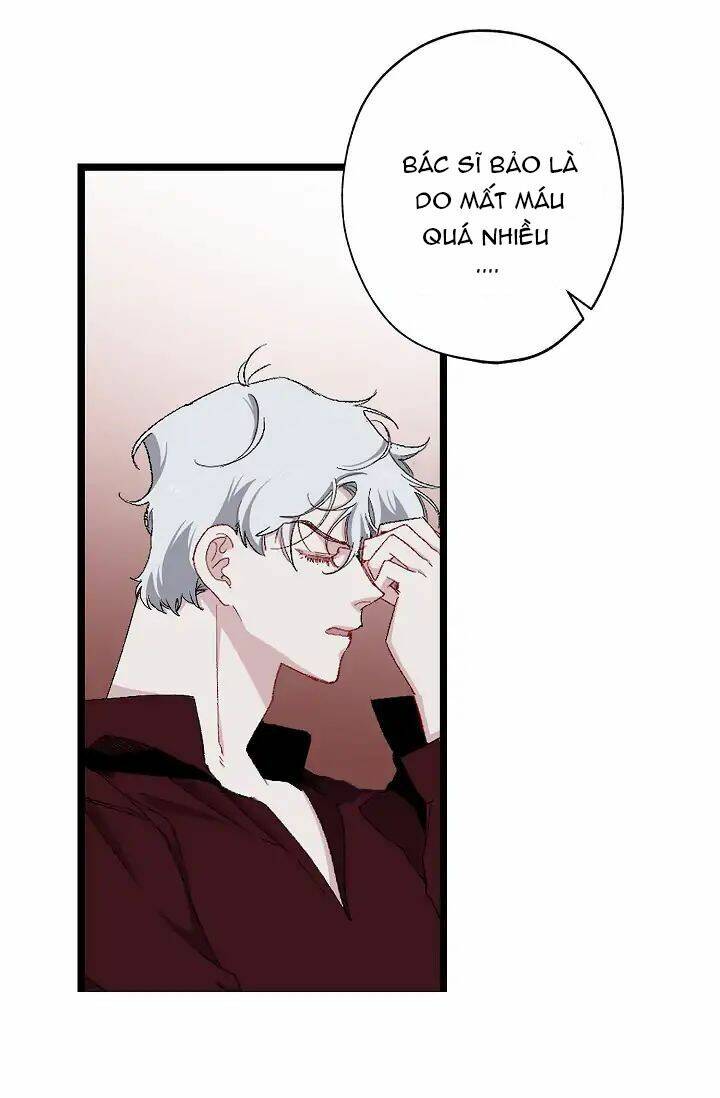 Tình Điên Dại: Chapter 14
