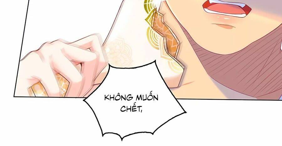 Nữ Vương Tàn Nhẫn: Chapter 2