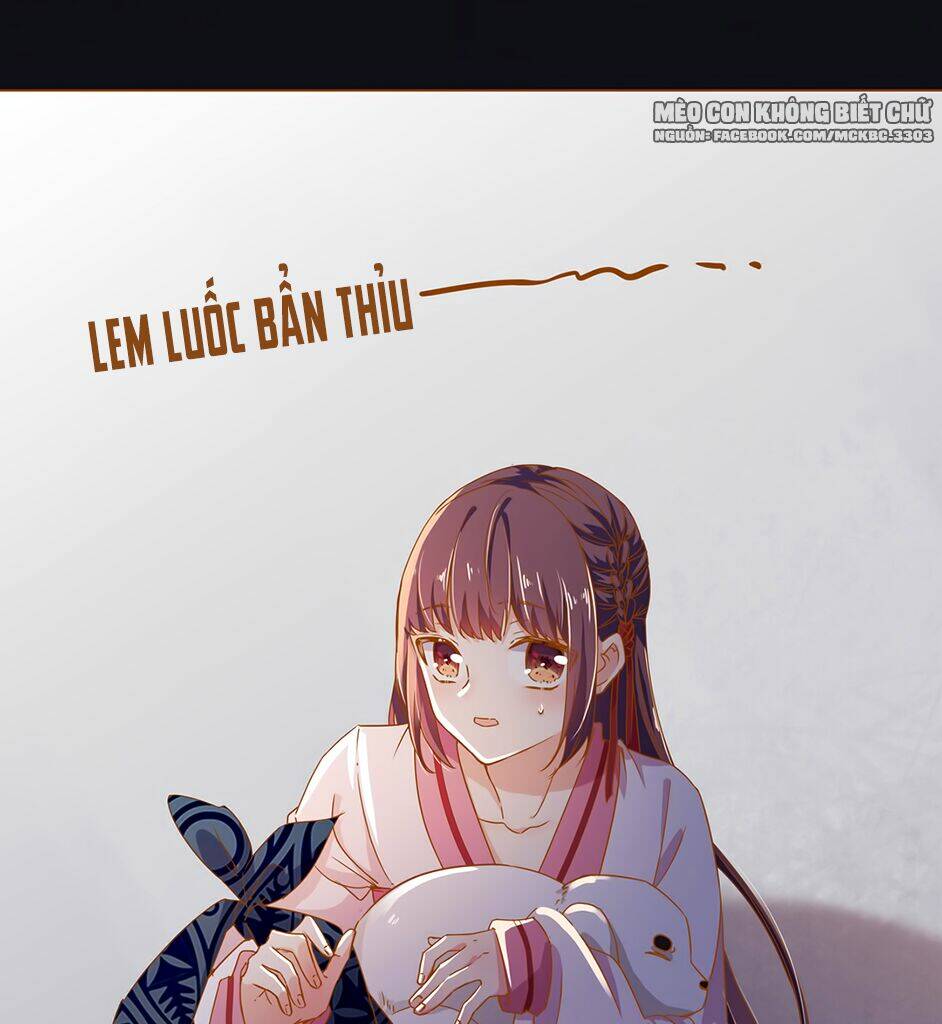 Boss Khủng Bố Chiếm Đoạt Ta: Chapter 5