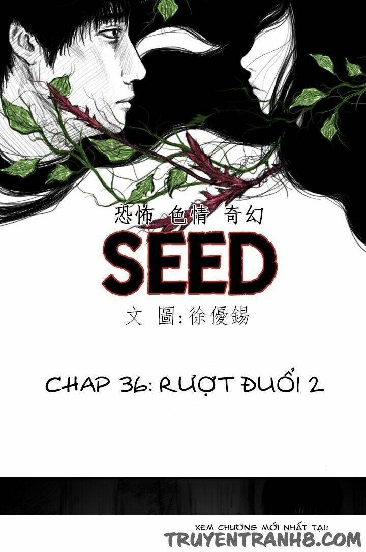 Hạt Giống Mỹ Nhân: Chapter 36