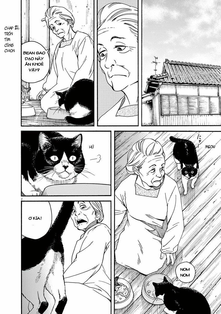 Neko No Otera No Chion-San: Chapter 21