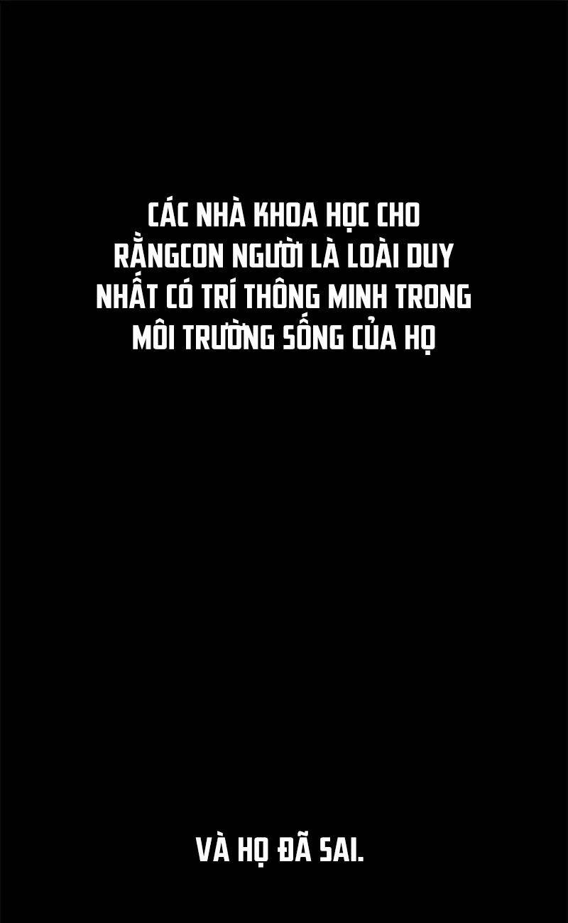 Sống Sót: Chapter 0