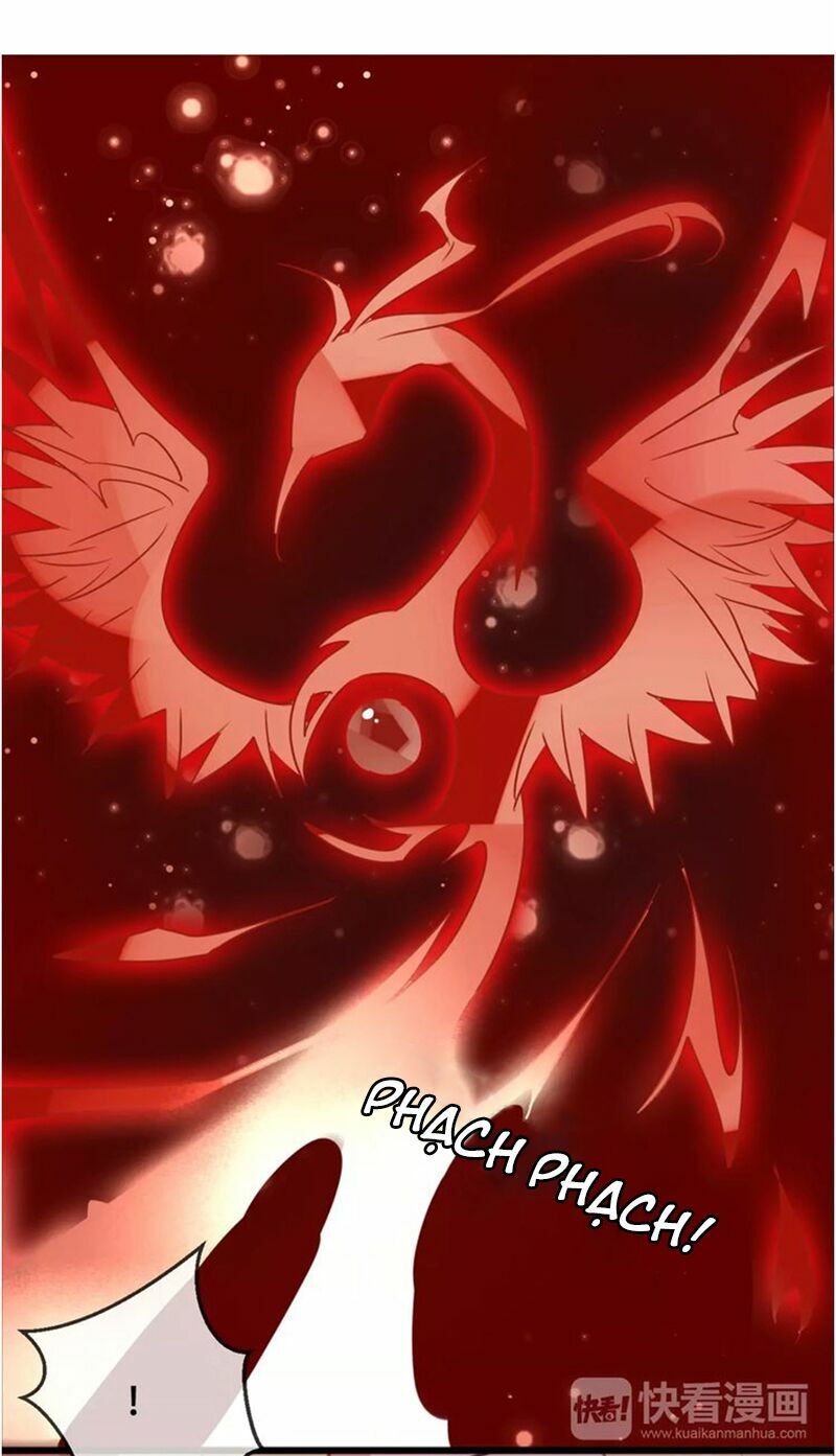 Ngô hoàng tại thượng: Chapter 5