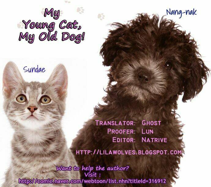 My Young Cat And My Old Dog: Chapter 22
