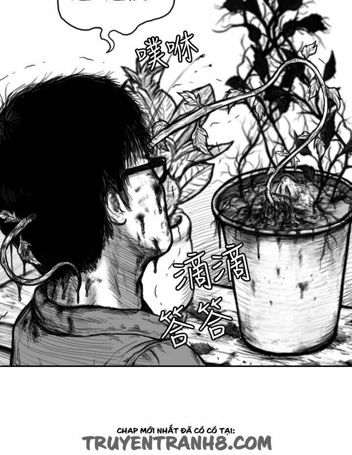 Hạt Giống Mỹ Nhân: Chapter 2