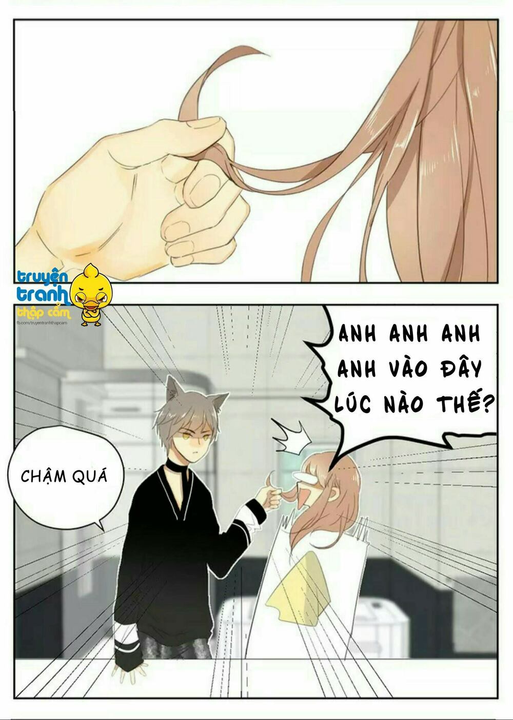 Cứu mạng ! Loài mèo thống trị thế giới rồi !: Chapter 36