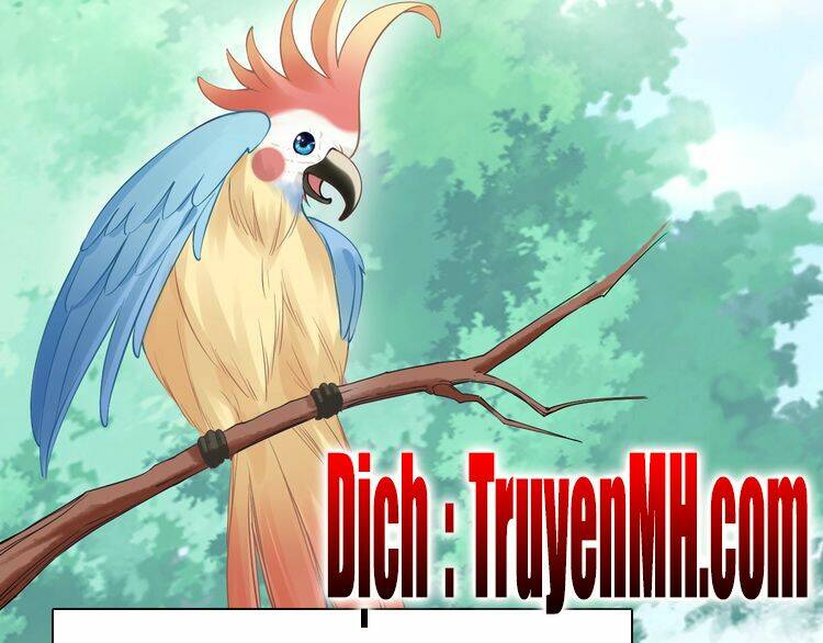 Nhất Sinh Nhất Thế Tiếu Thương Khung: Chapter 6