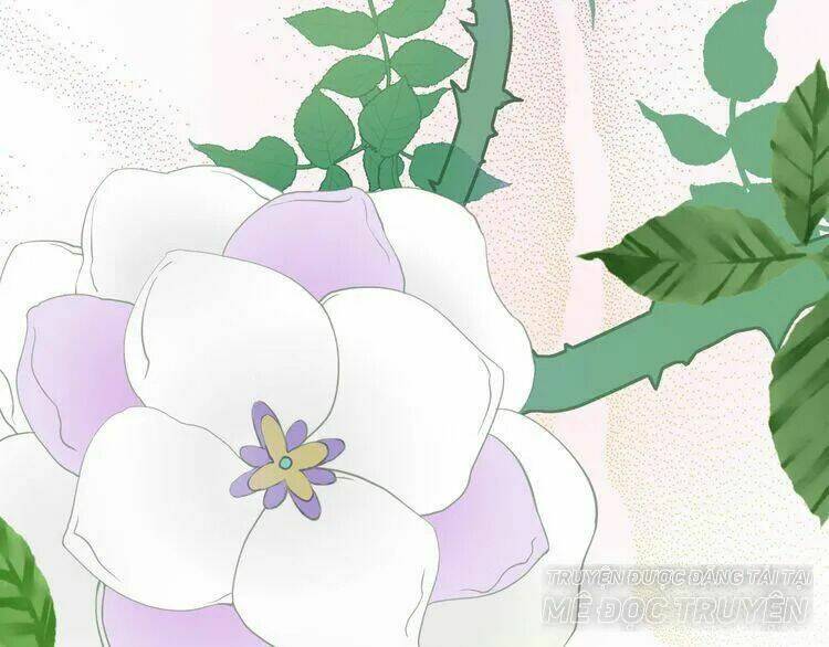 Thuần Trắng Vận Mệnh Chi Luân: Chapter 4