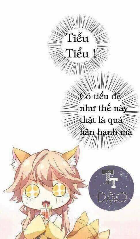 Dưới Móng Vuốt Mèo: Chapter 3