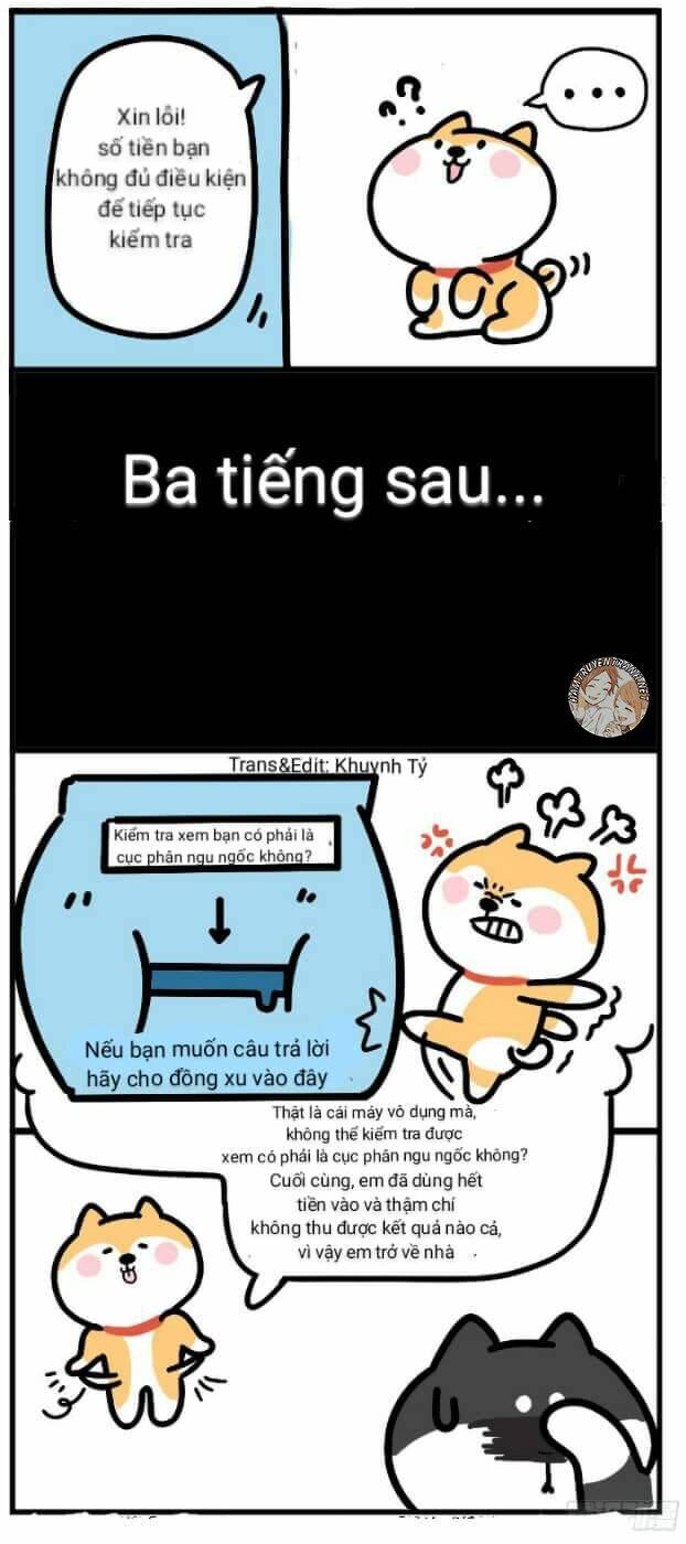 Anh Em Shiba: Chapter 4