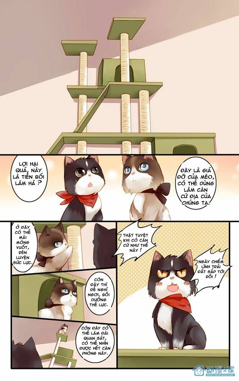 Hằng Mộng Nam Thần: Chapter 22