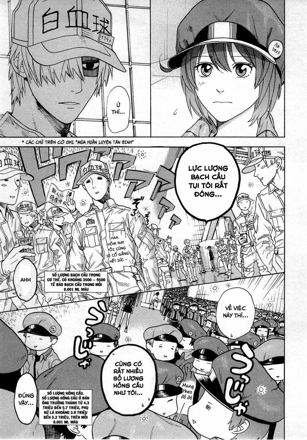 Hataraku Saibou!: Chapter 1