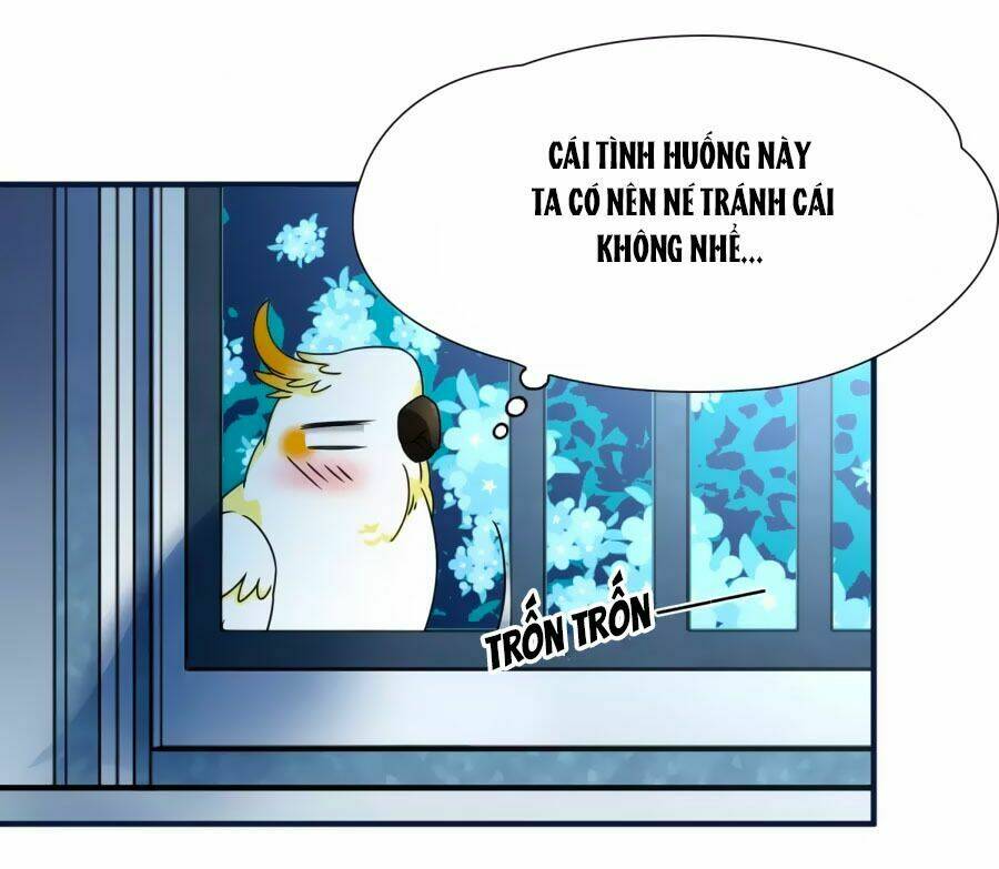 Huyền Vũ Luyến Ca: Vạn Vật Sinh Linh: Chapter 33.1