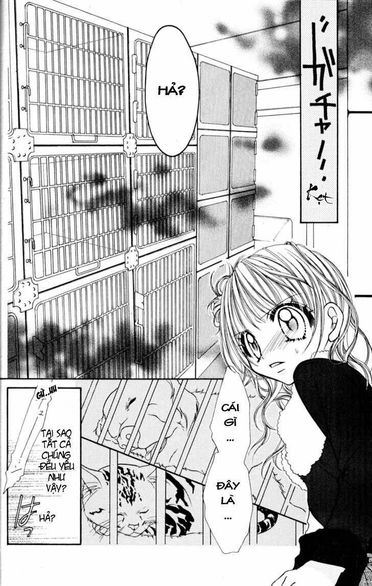 Jigoku Shoujo: Chapter 4