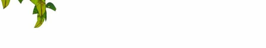 Thịnh Thế Hoa Sủng: Tôi Bị Bắt Làm Tù Binh: Chapter 22