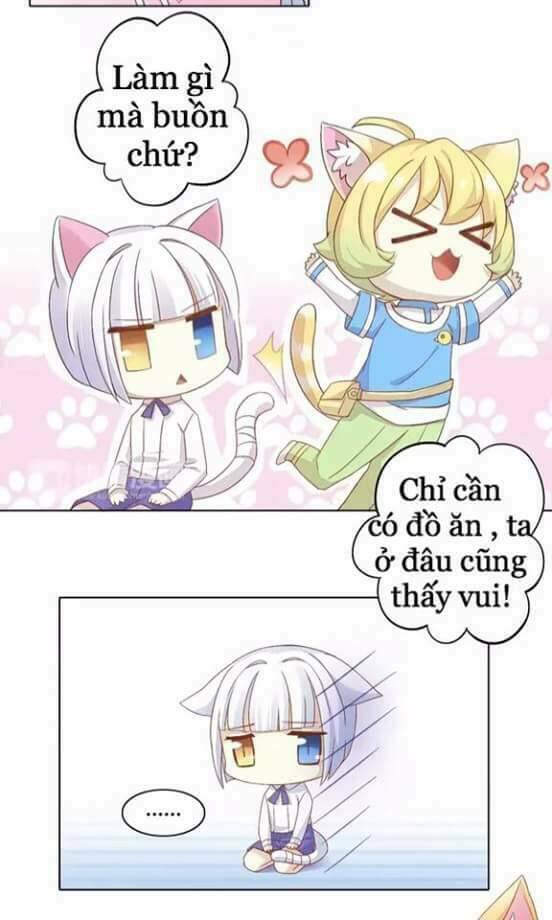 Dưới Móng Vuốt Mèo: Chapter 9