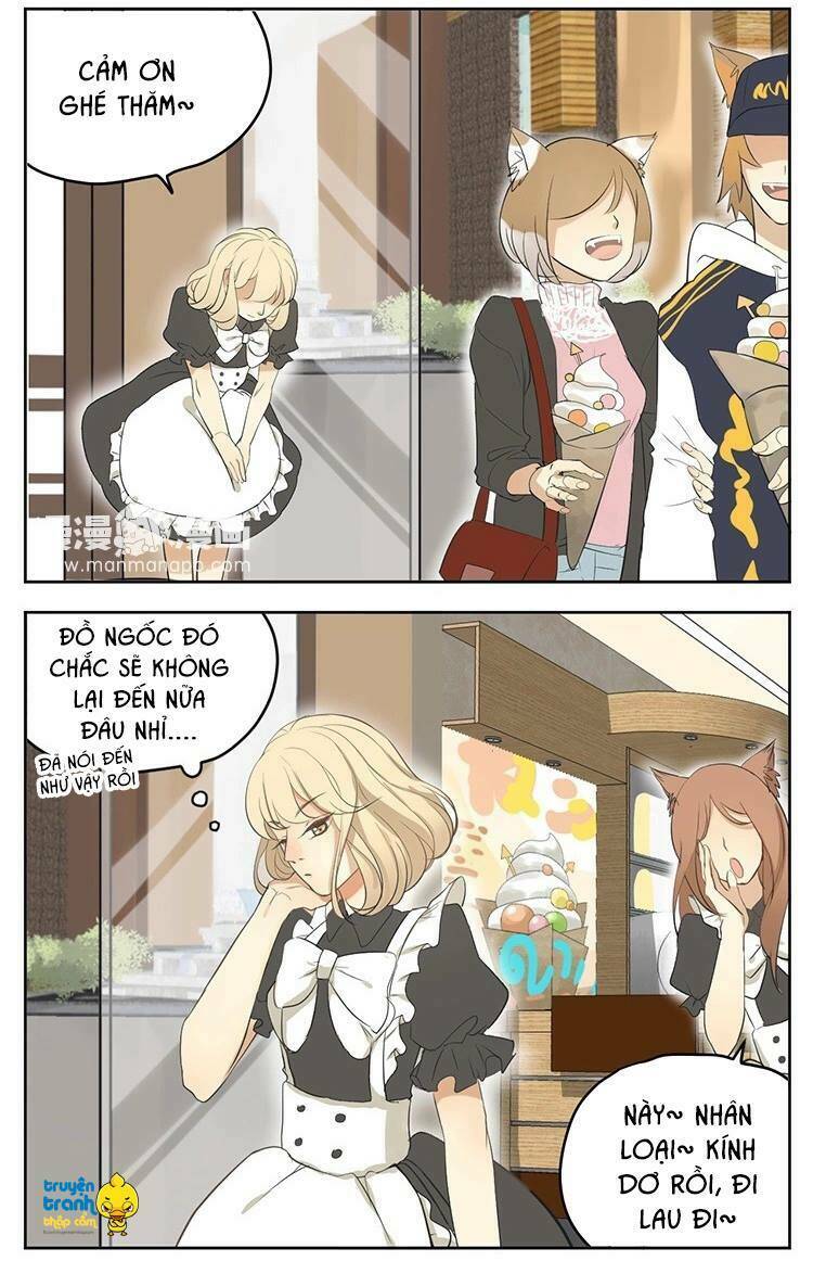 Cứu Mạng! Loài Mèo Thống Trị Thế Giới Rồi!: Chapter 17
