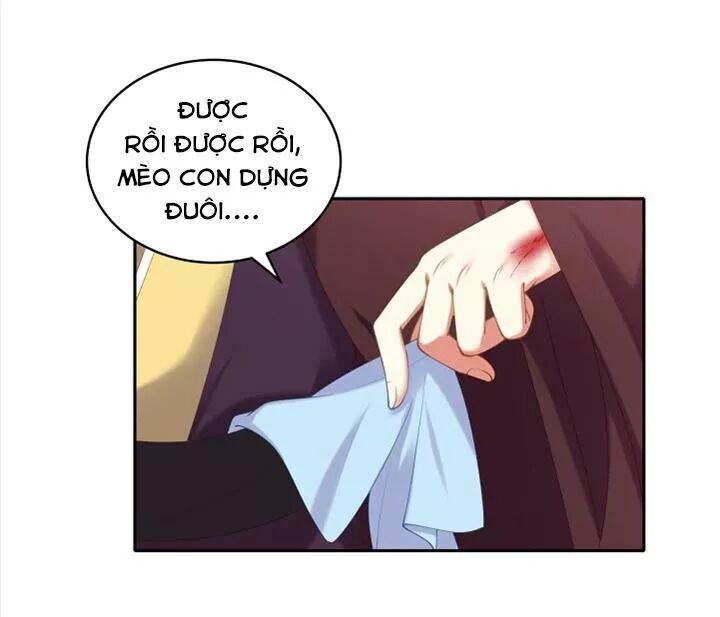 Đô đốc đại nhân sủng thê kí: Chapter 76: Nương tử sờ một lượt đi
