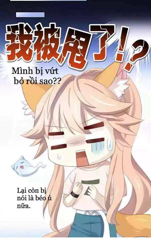 Dưới Móng Vuốt Mèo: Chapter 11