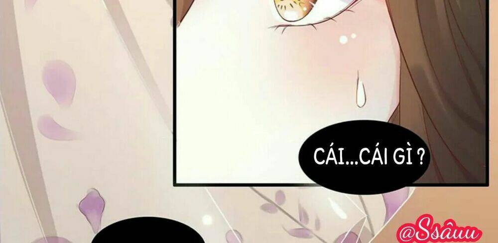 Liêu Cung Phong Hoa: Chapter 4