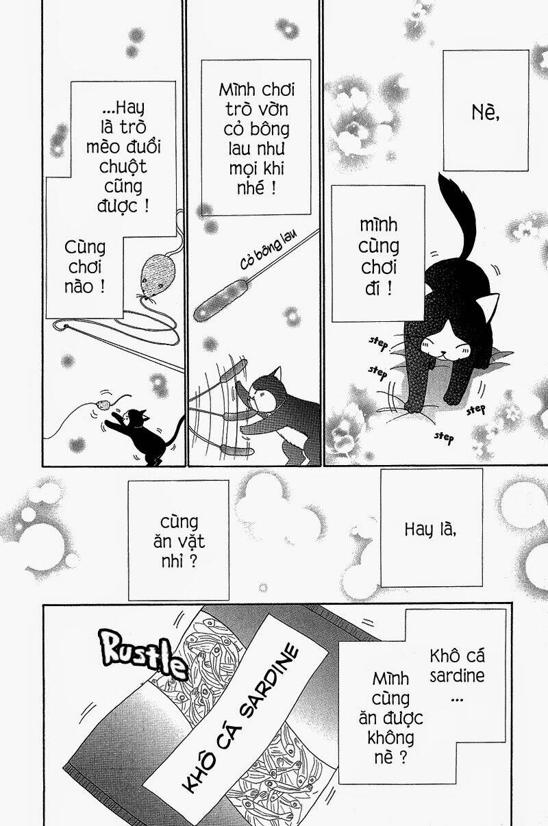 Dự Án Kéo Vàng: Chapter 52