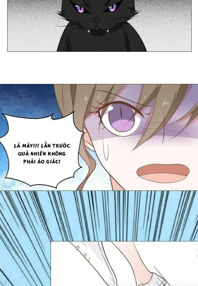 Thập Nhị Hắc Miêu: Chapter 10