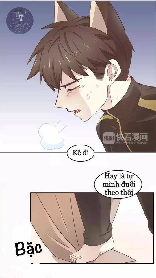 Dưới Móng Vuốt Mèo: Chapter 19