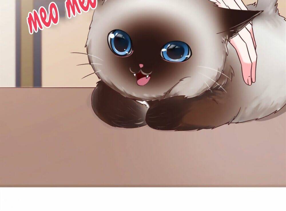 Quyến Rũ Không Thành: Chapter 10