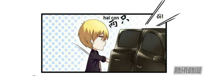 Tổng Tài Đã Cưới Em: Chapter 38