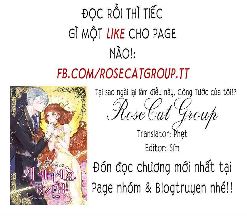 Công Tước, Loạn Vừa Thôi!: Chapter 15